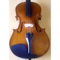 violino_1_2_dominante_totalmente_ajustado_por_luthier