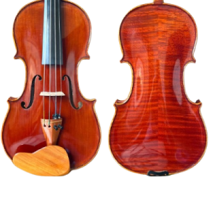 whatsapp_image_2025-06-20_at_16_38_42__5_-removebg-preview