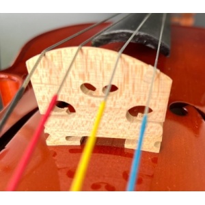 whatsapp_image_2025-12-20_at_11_37_03_3